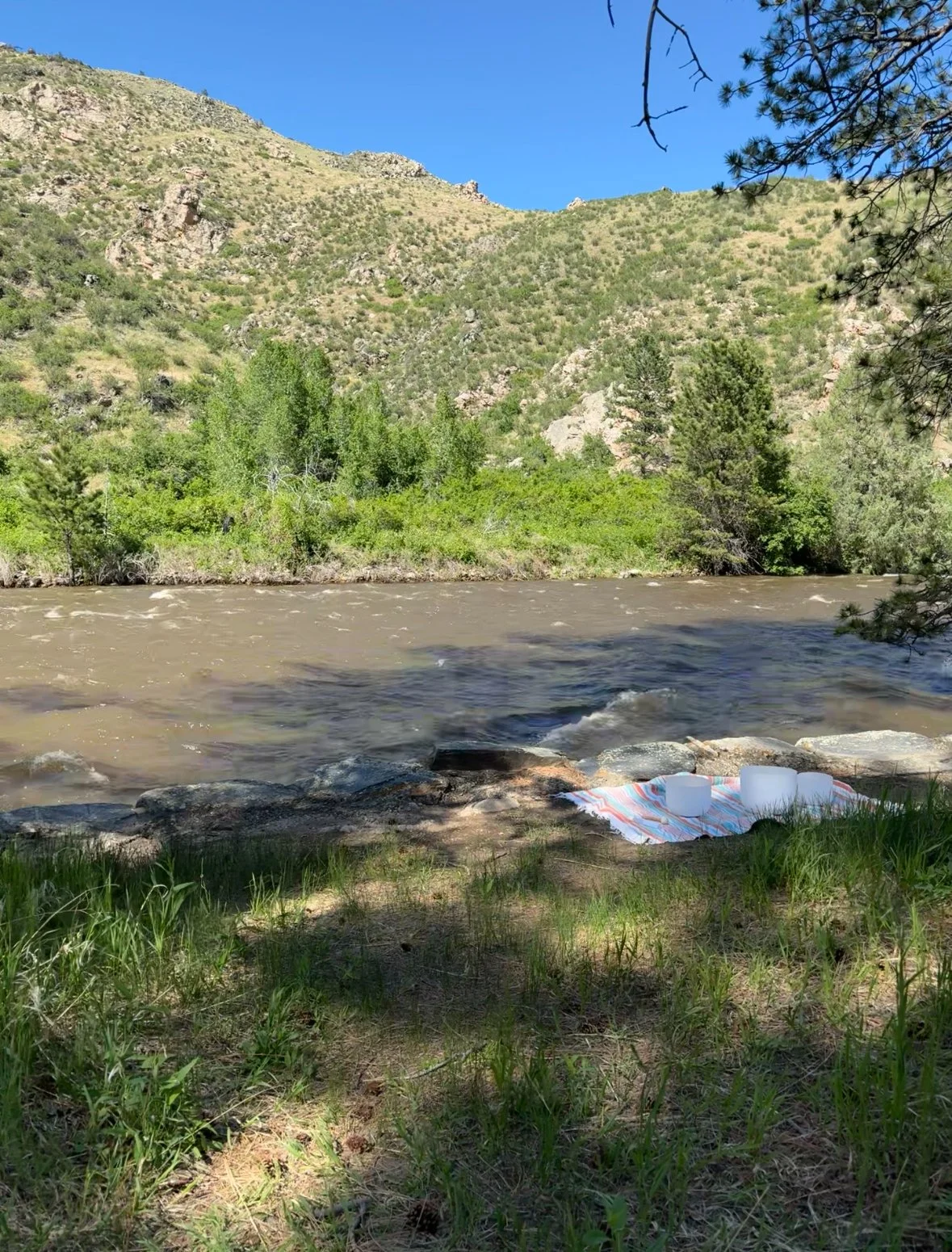 3D02B0D0-8D3C-42D8-81F7-59D13D895FD6