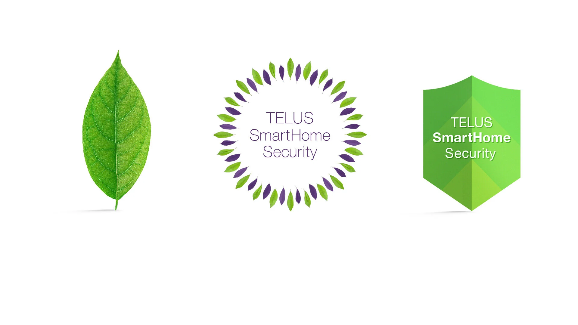 TELUS - SmartHomeSecurity - PortfolioArtboard - Leaf Shield.jpg