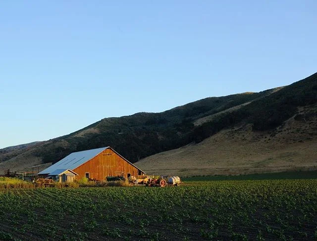 Last little bit of light on one of my favorite roads.