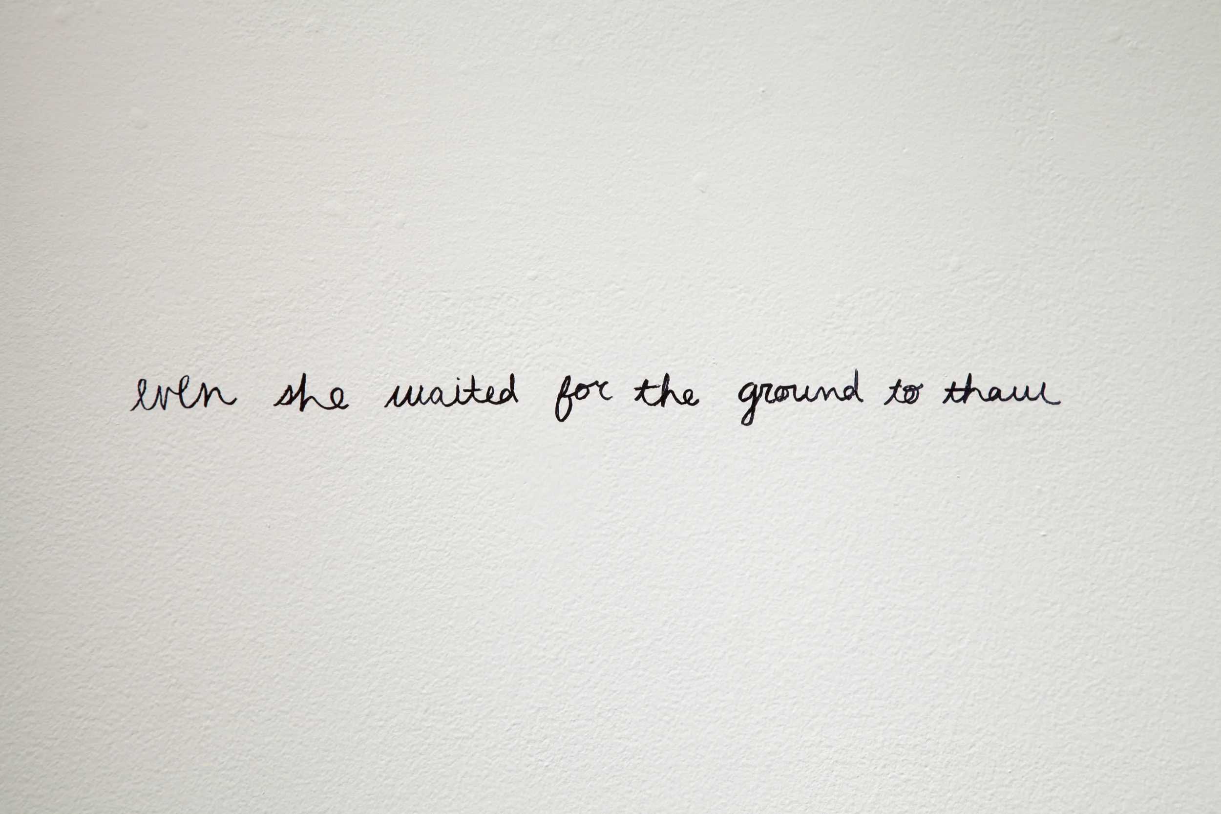 Even She Exhibition