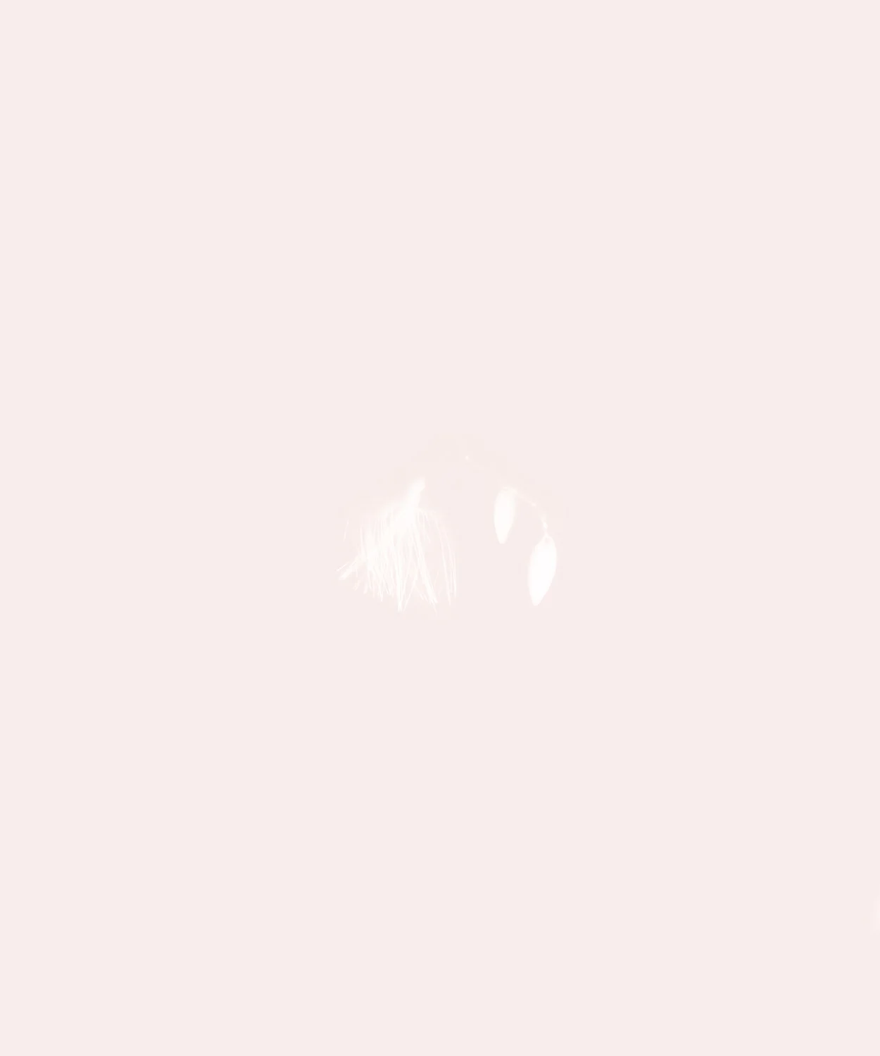 Lure