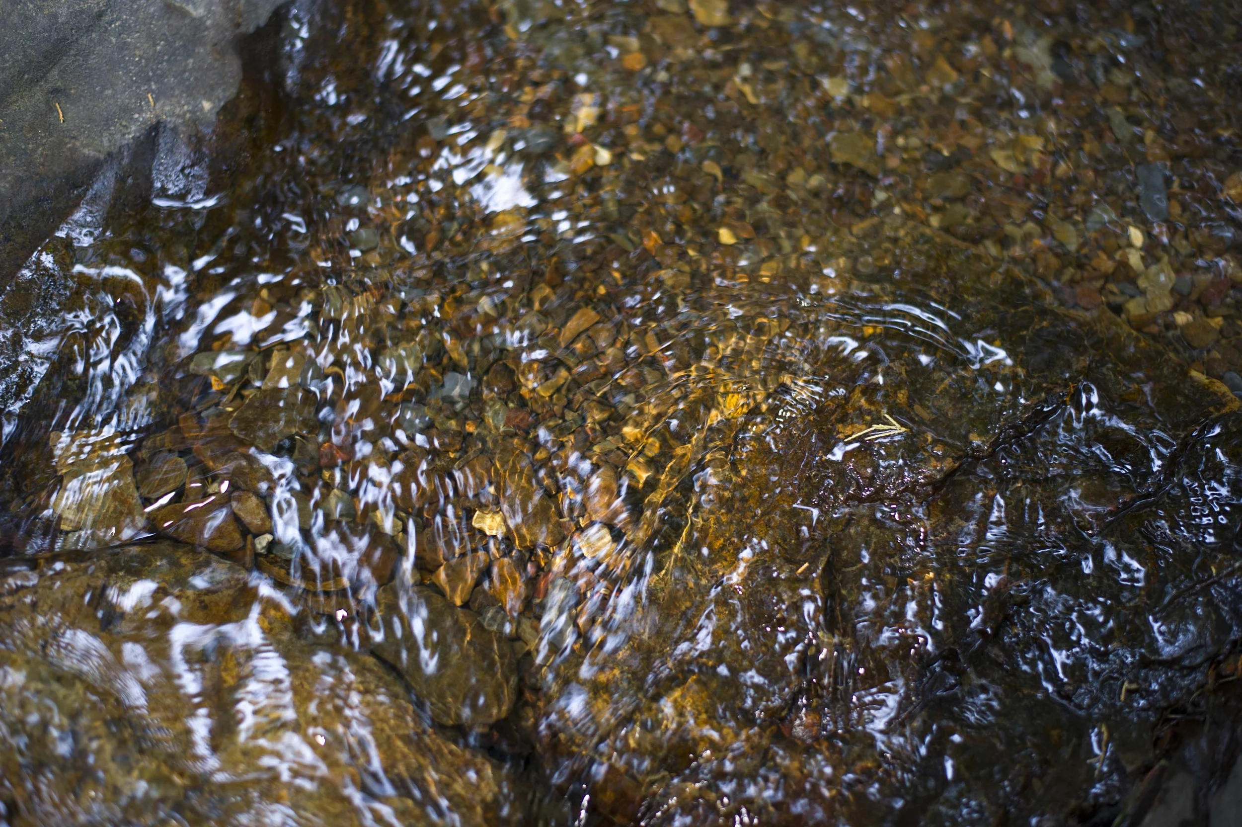 _DSC3251_2JC.jpg