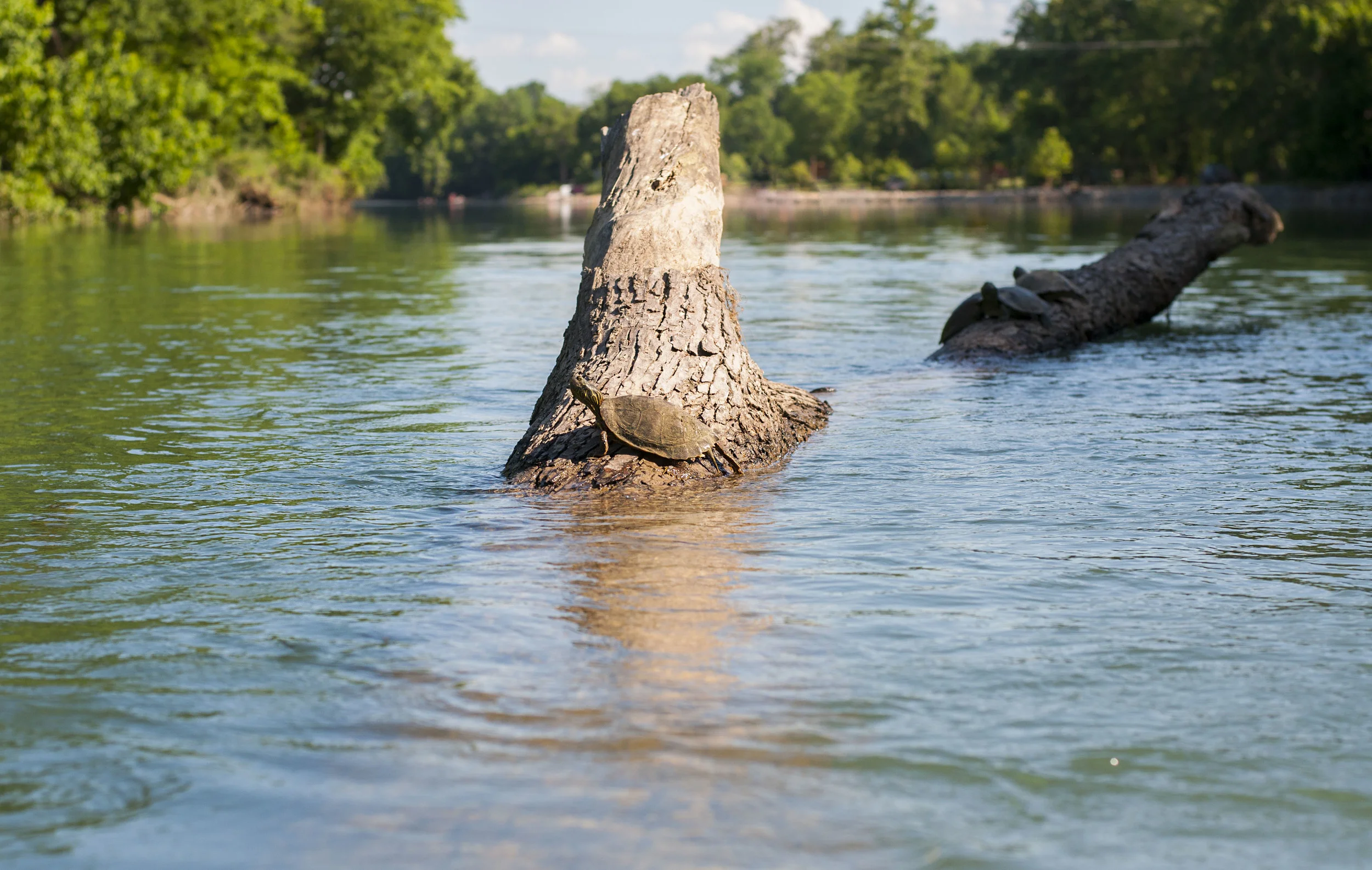 _DSC0297_3.jpg