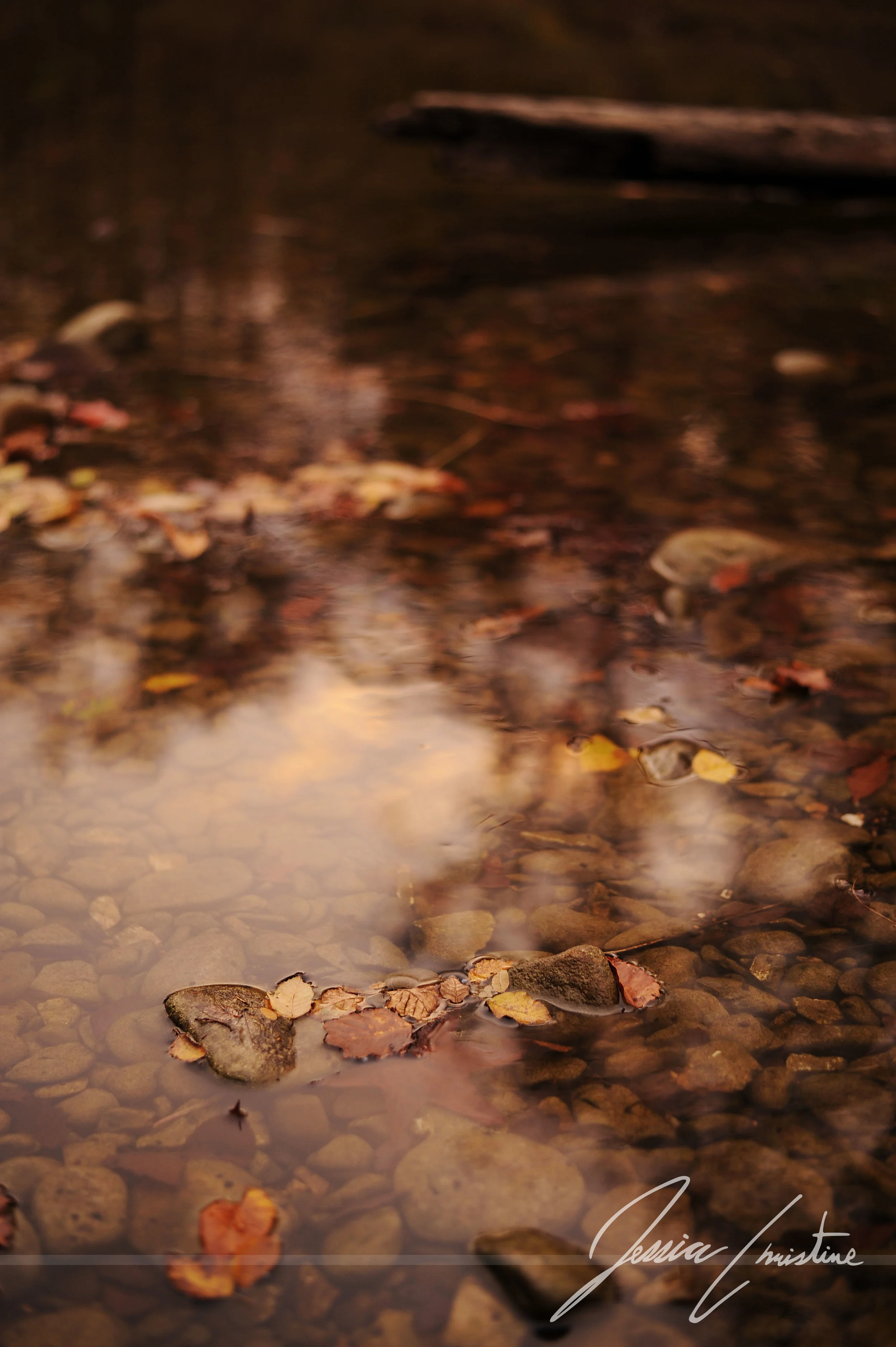 _DSC6473_JC.jpg