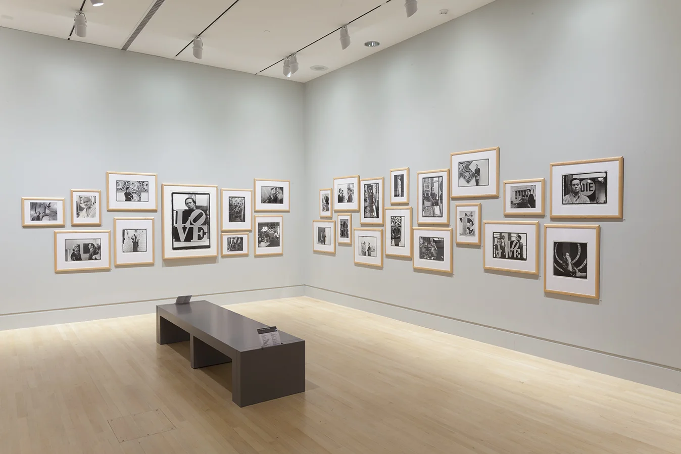 William John Kennedy Photos of Robert Indiana Salon Hang
