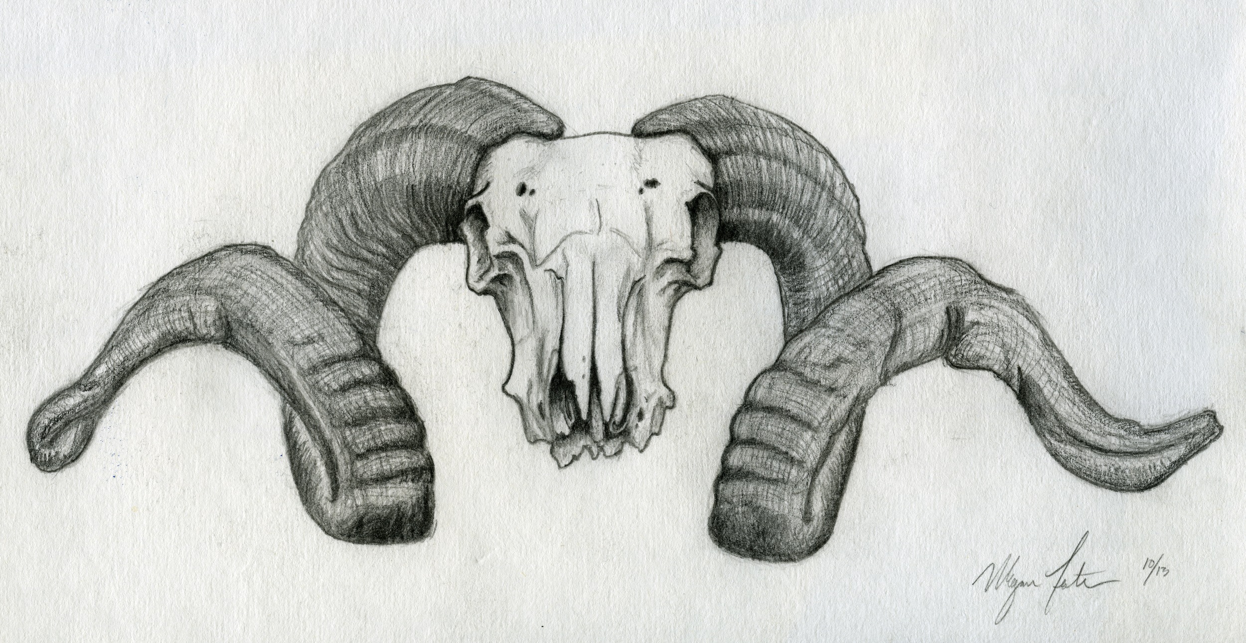 Ram Skull