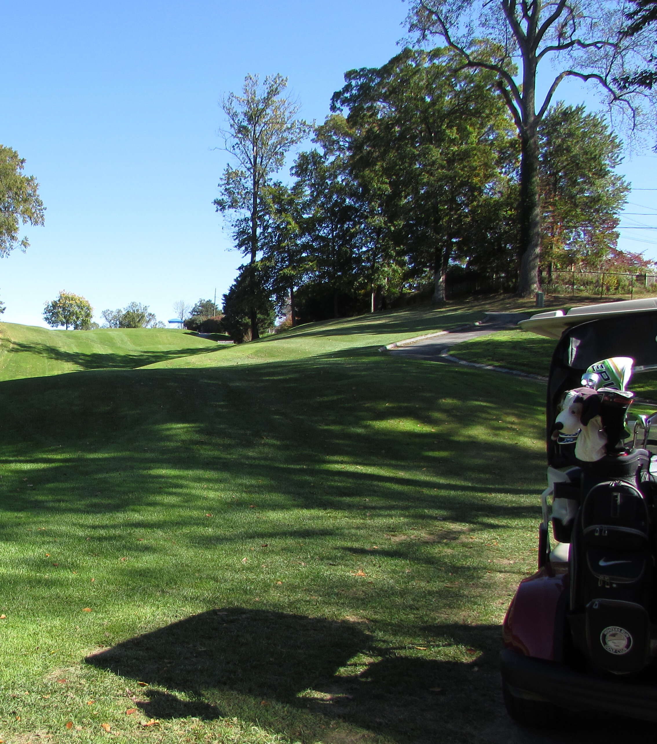 Fairway and Cart.jpg