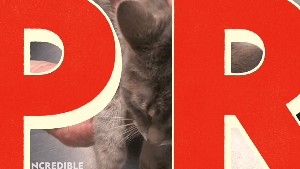 NGW-DrPol-12DaysPol-TopicalOpen-16x9-03-110722-BT.gif