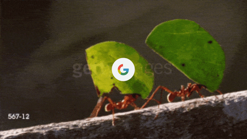 ezgif.com-optimize.gif