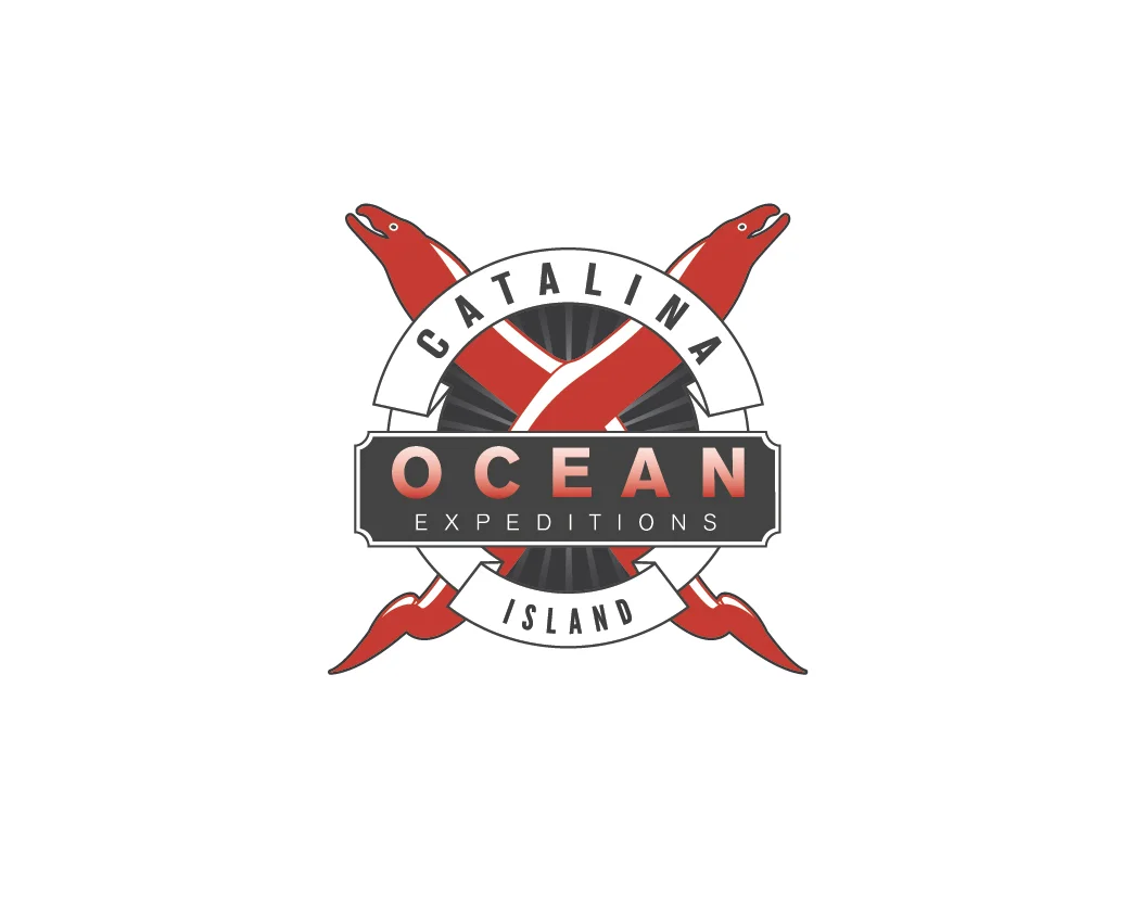 ocean-01.jpg
