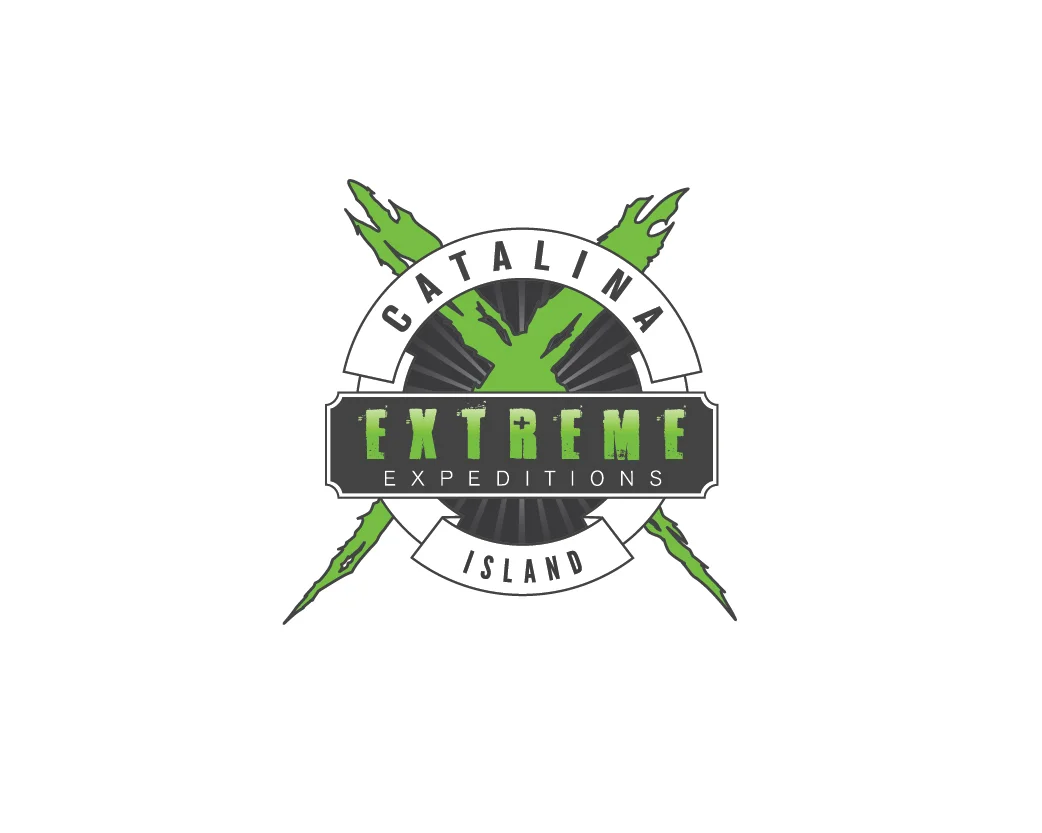 extreme-01.jpg