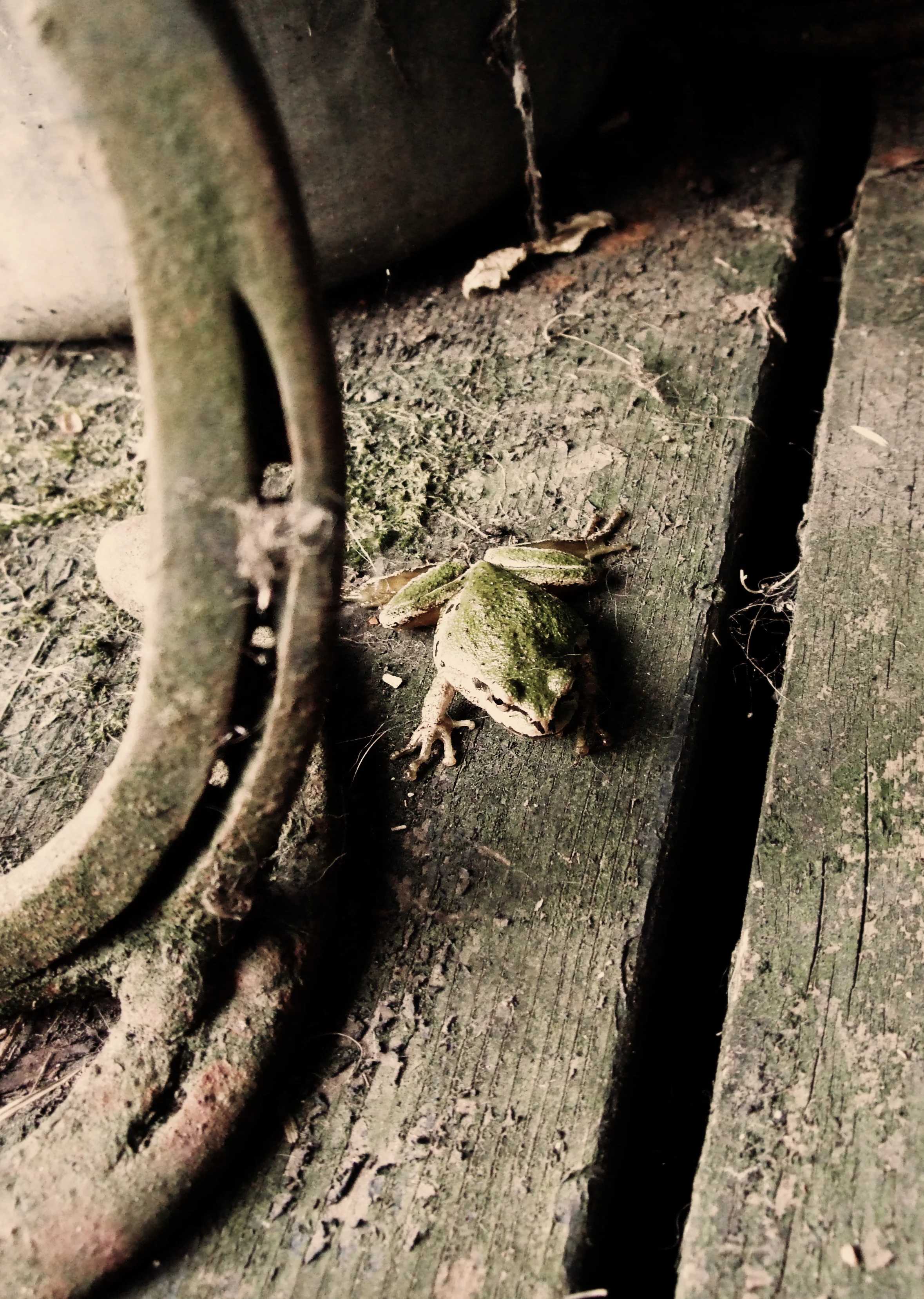 DSCF5556.jpg