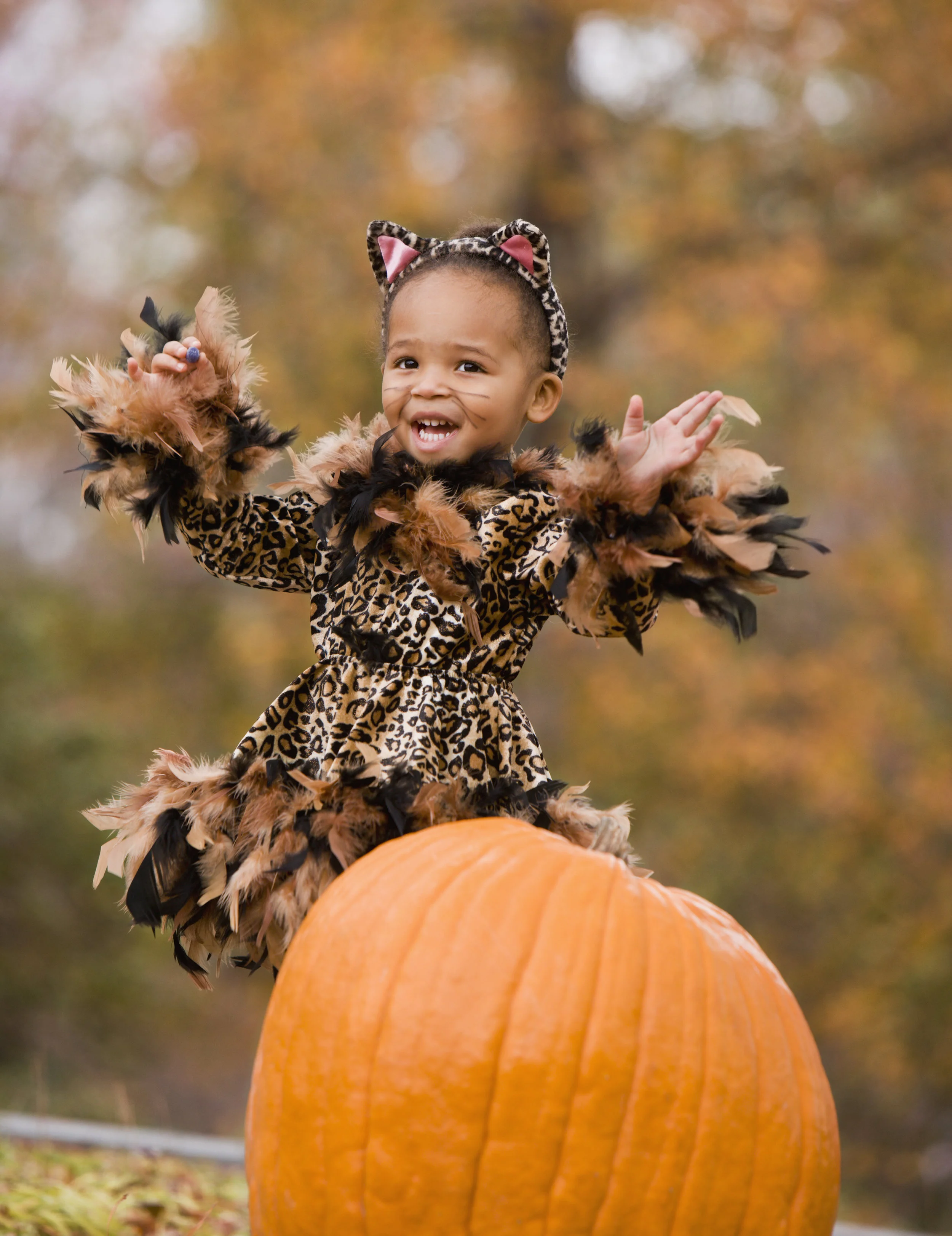 AdobeStock_68451141.jpeg