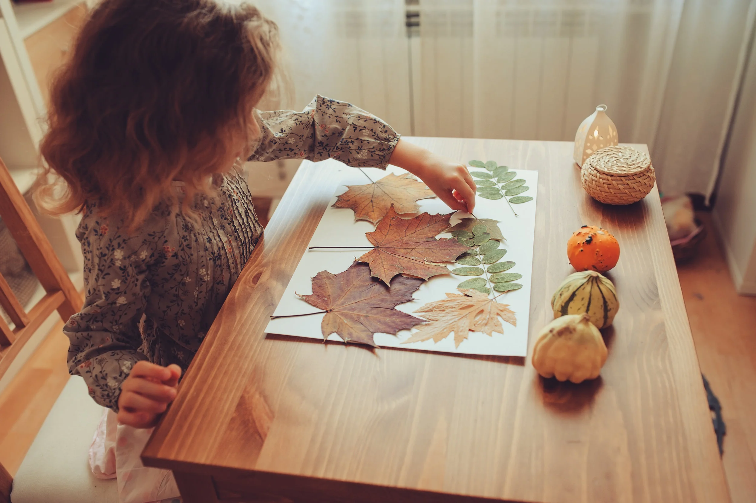 AdobeStock_111102799.jpeg
