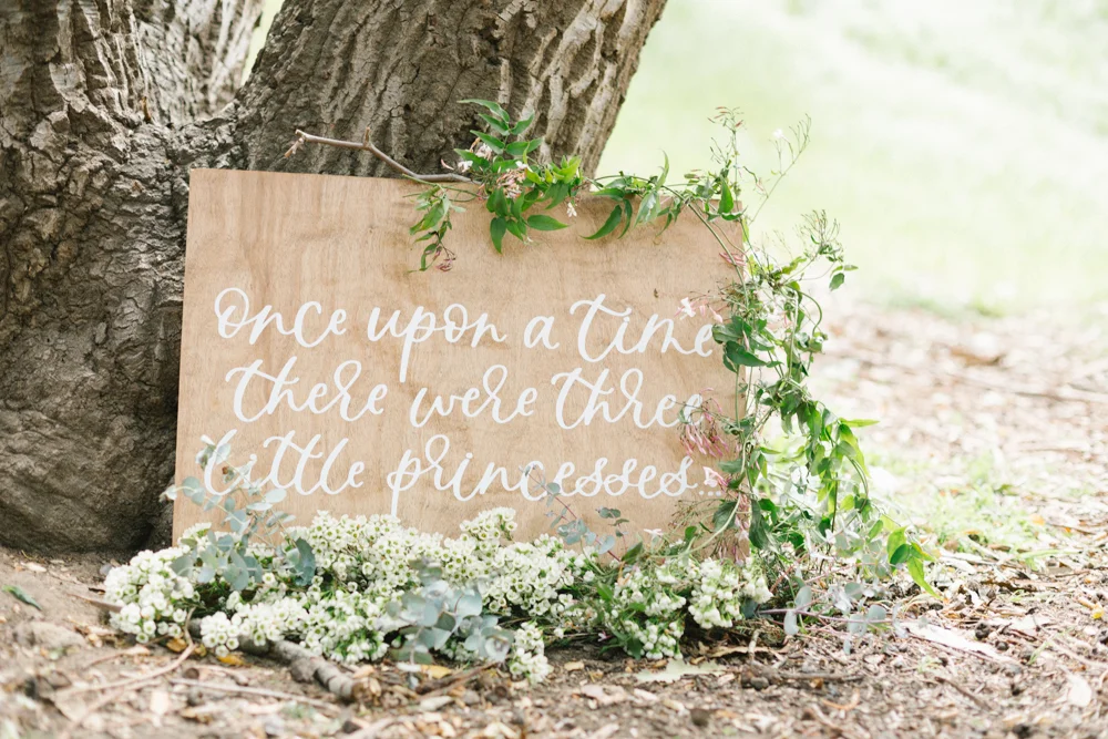 Fairyland Princess Birthday Party