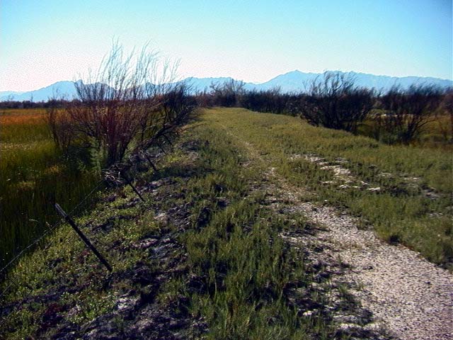 The roads are narrow and slightly raised above the level of the marsh water