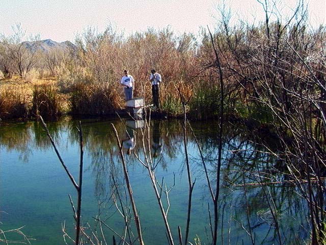 Rodger's Spring is a circular clear pool with fresh water feeding in from the bottom