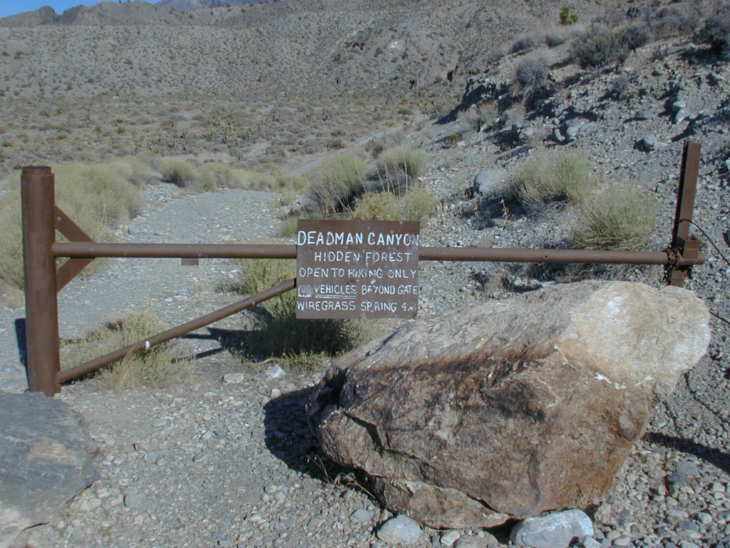 Deadman Canyon - Hidden Forest Open to hiking only