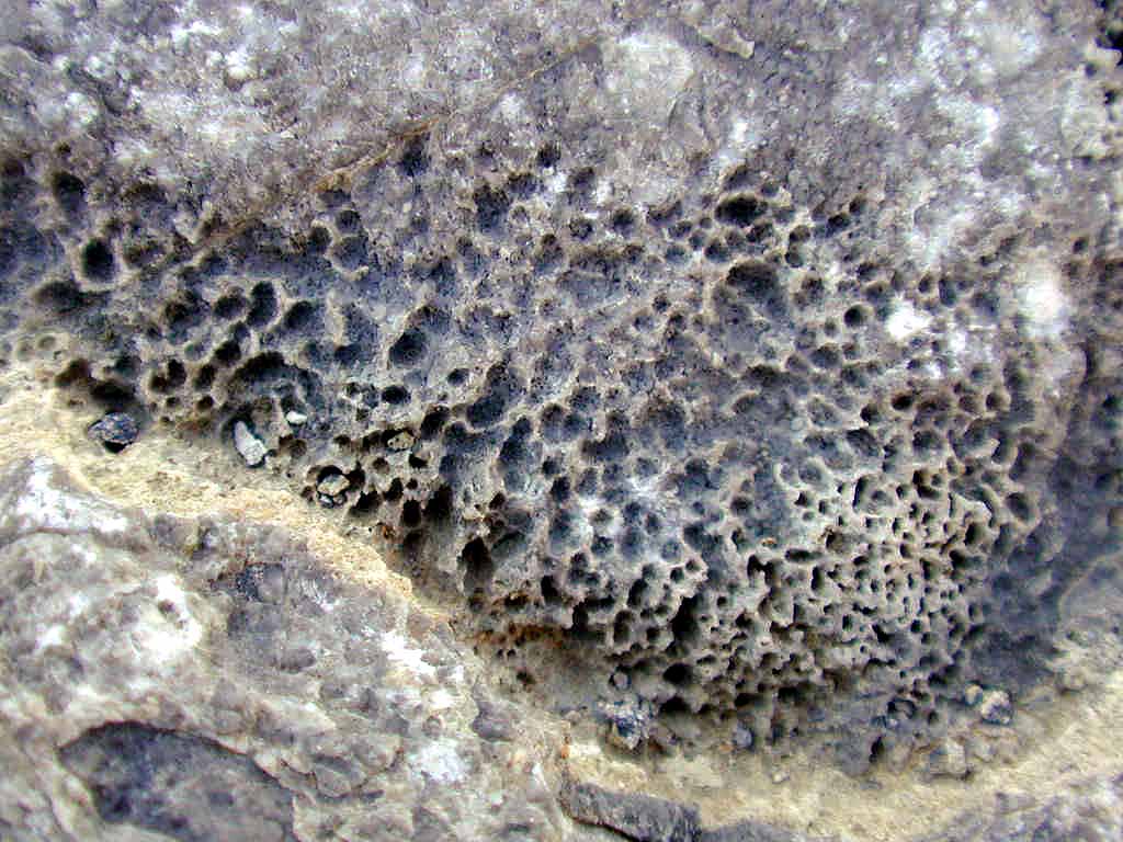 Strange texture to the rocks