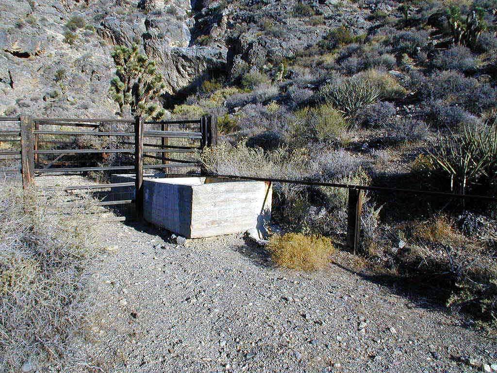 Cow Camp