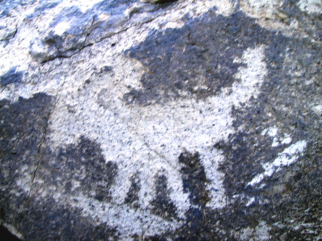Creatures of the region were a favorite subject of early petroglyph artists. This is creature with a big head and long tail. Possibly a dog or maybe a lion. It could even be a bighorn sheep and the artist slipped when drawing the tail (sheep have very short tails).