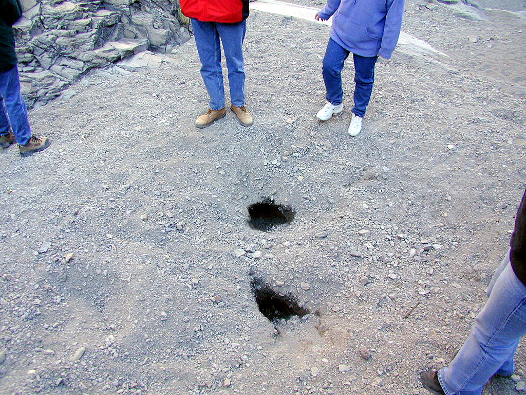 These shallow holes revealed wet gravel. The water table is close to the surface here.