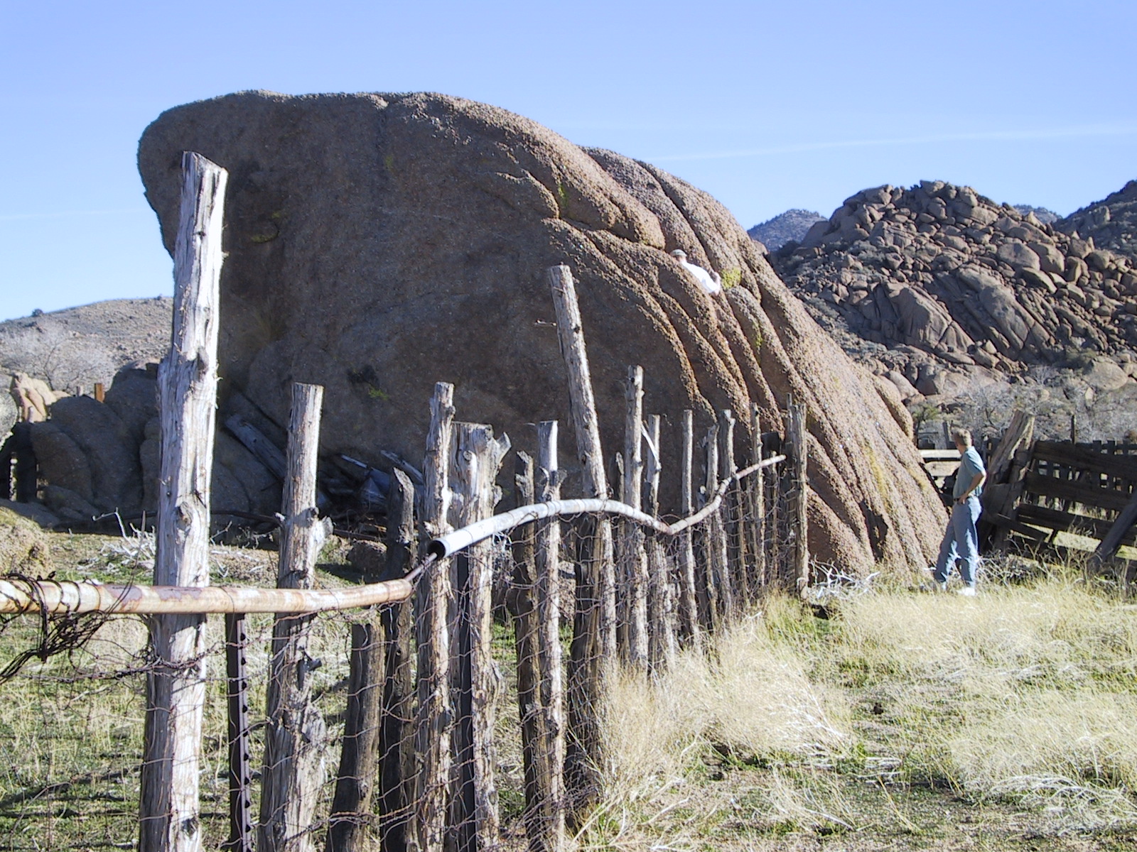 Gold Butte corral