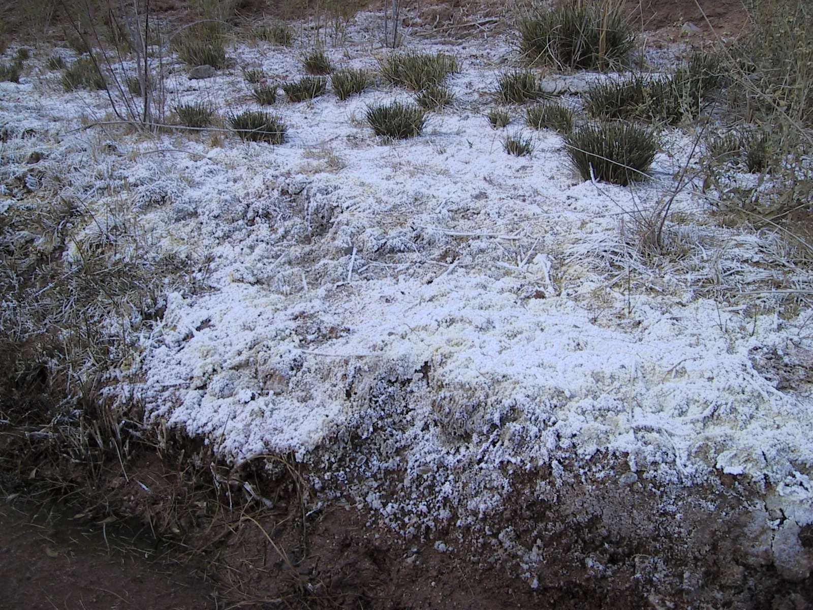 Calcium depots around Red Bluff Spring