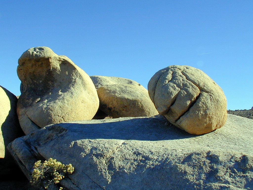 Is that a rock or a giant egg?