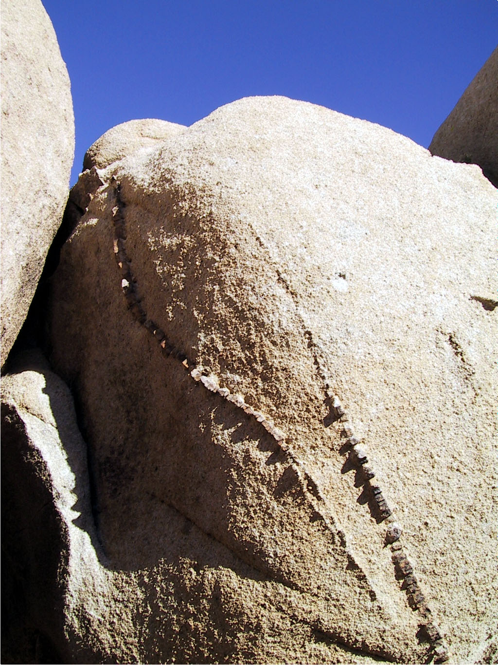Ribs or veins on this rock. Other rocks in the area had knobs and splotches.