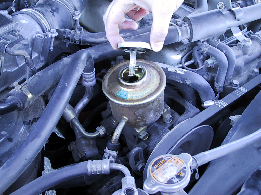 "Yup, the brake fluid looks just fine to me."