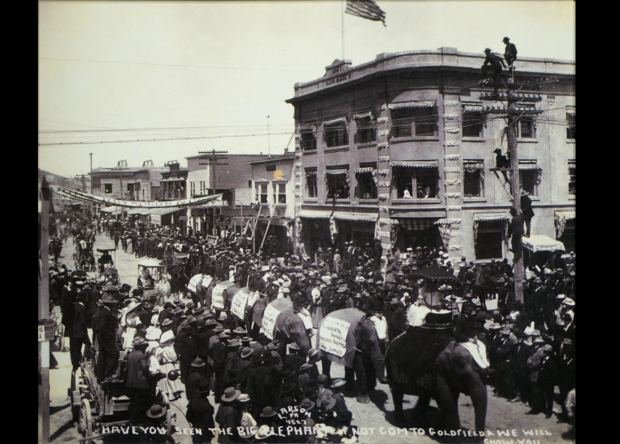 Goldfield