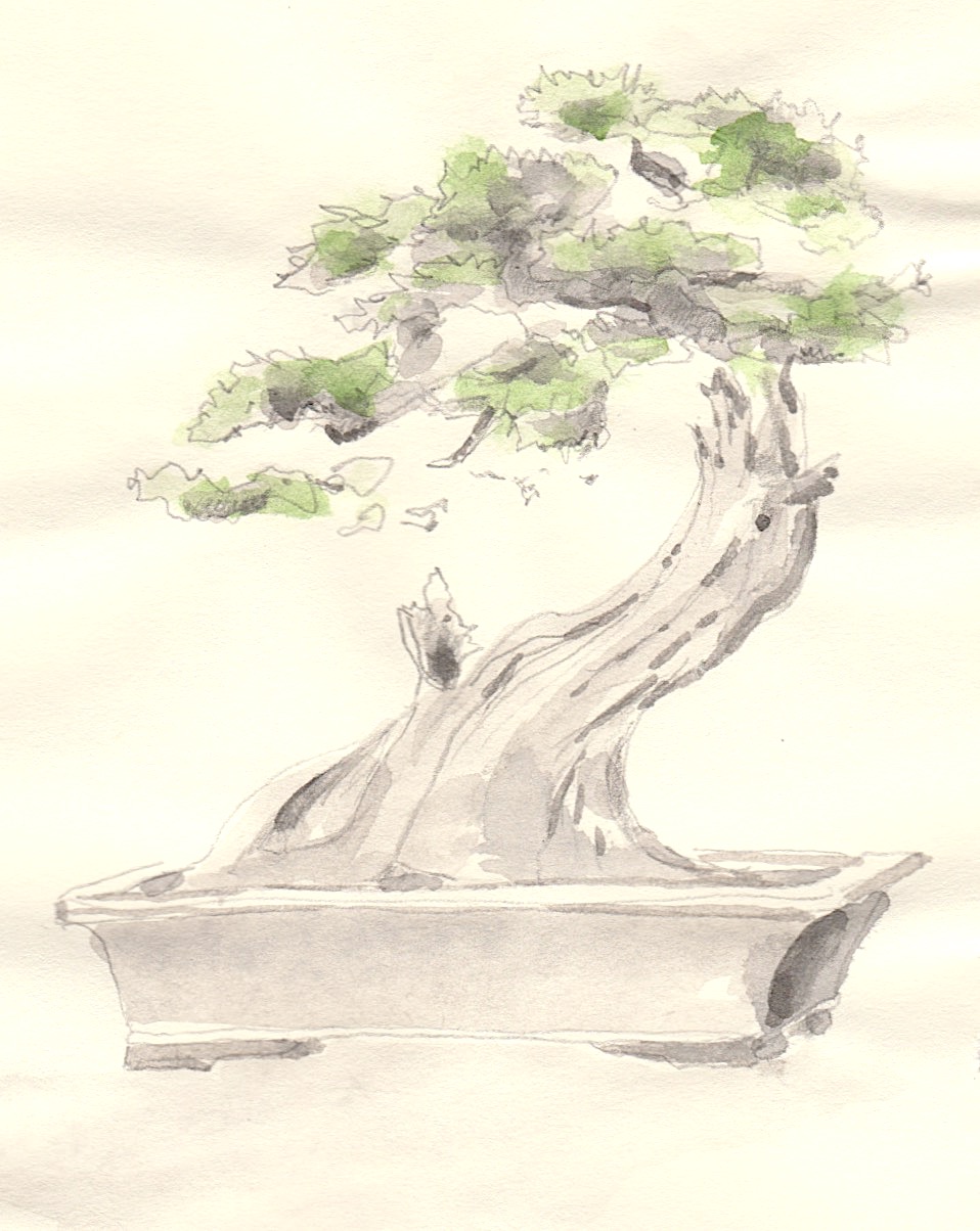 'Bonsai' ink and graphite on paper. 20x13cm. 2018