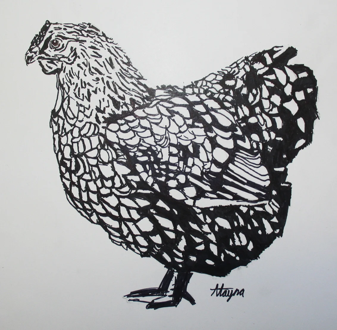Alayna- Pen and Ink