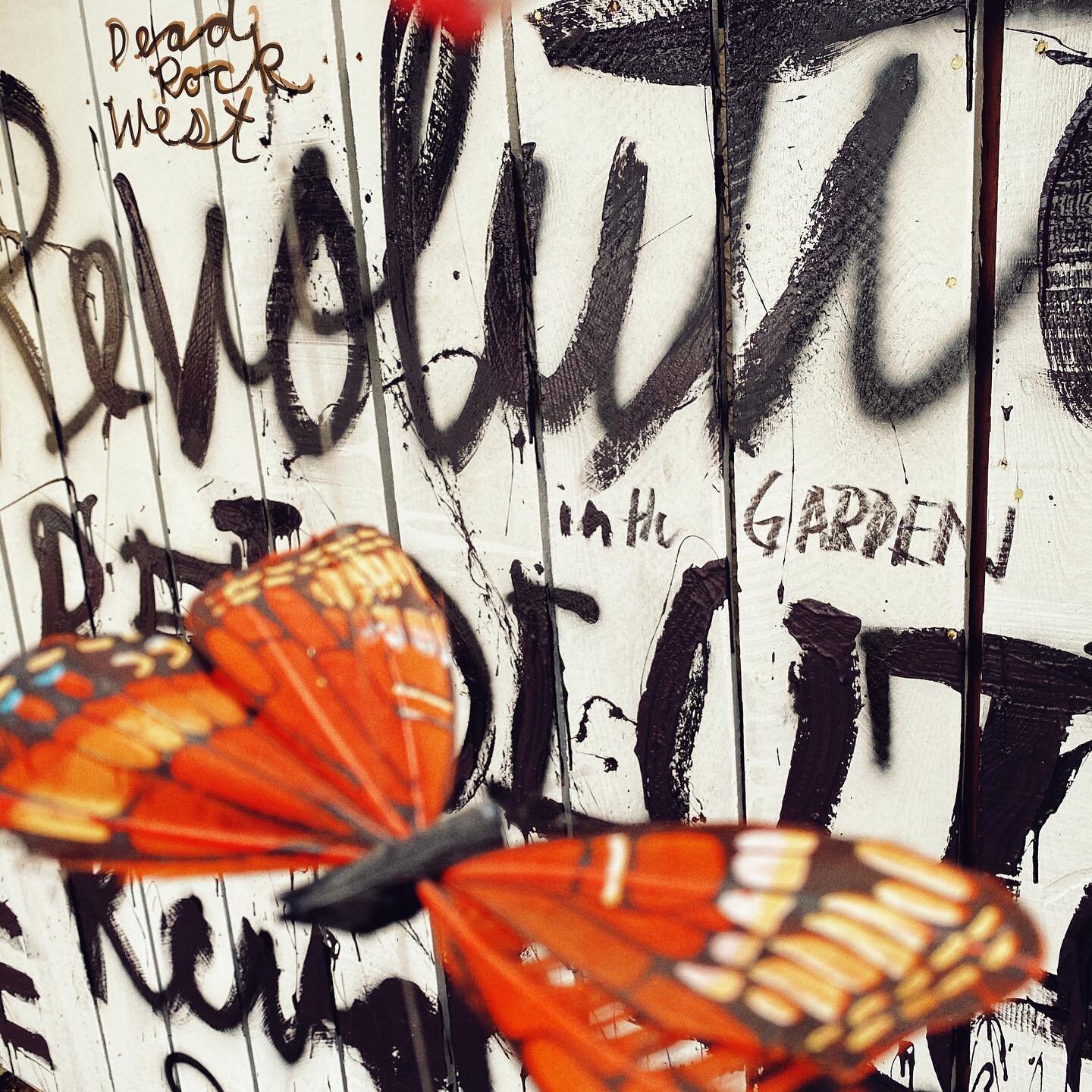 Our new single &lsquo;Revolution In The Garden&rdquo; is out now Streaming &amp; Download (link in bio)! #revolutioninthegarden #unitedwestand #united #morelove #we #us #together #cometogether #change #equality #truth #epic #dividedwefall #america #m