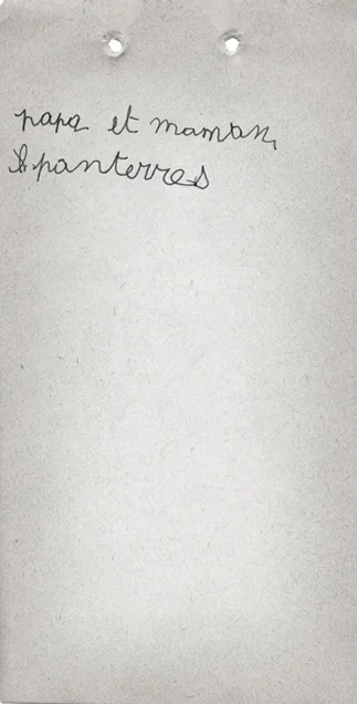 DELATTRE_VOGT_BANDE_10_C.jpg