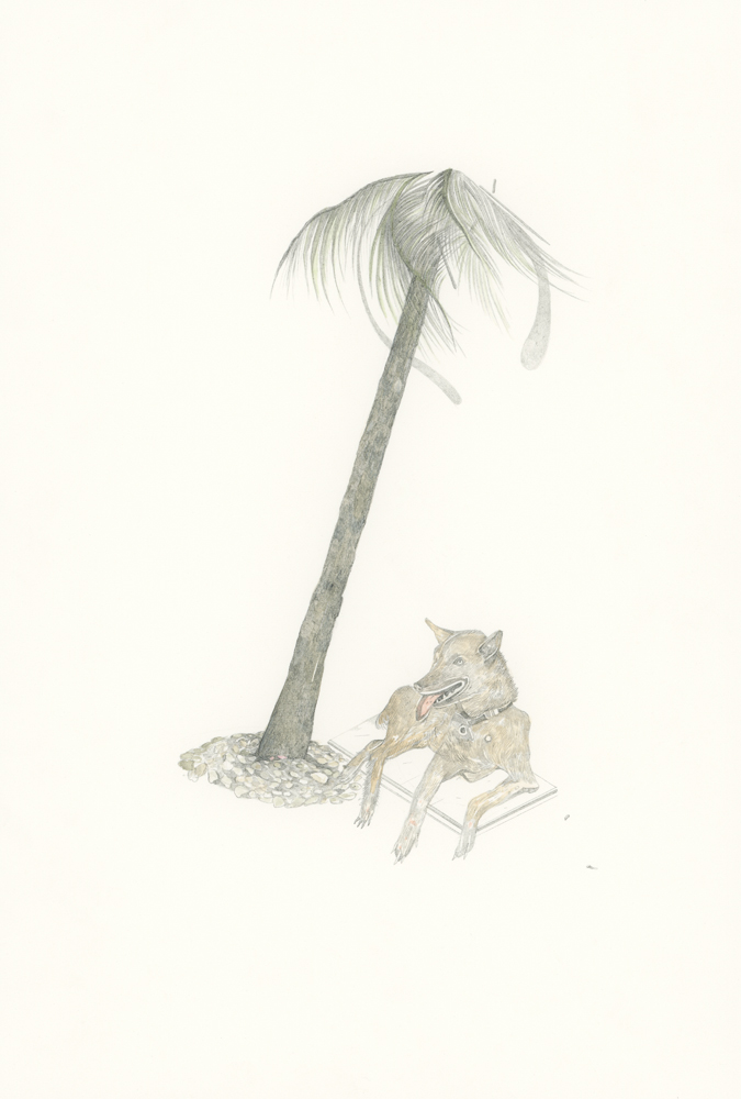 DELATTRE-VOGT_TONGDAENG_BIOGRAPHY_OF_A_PET_DOG_XII.jpg
