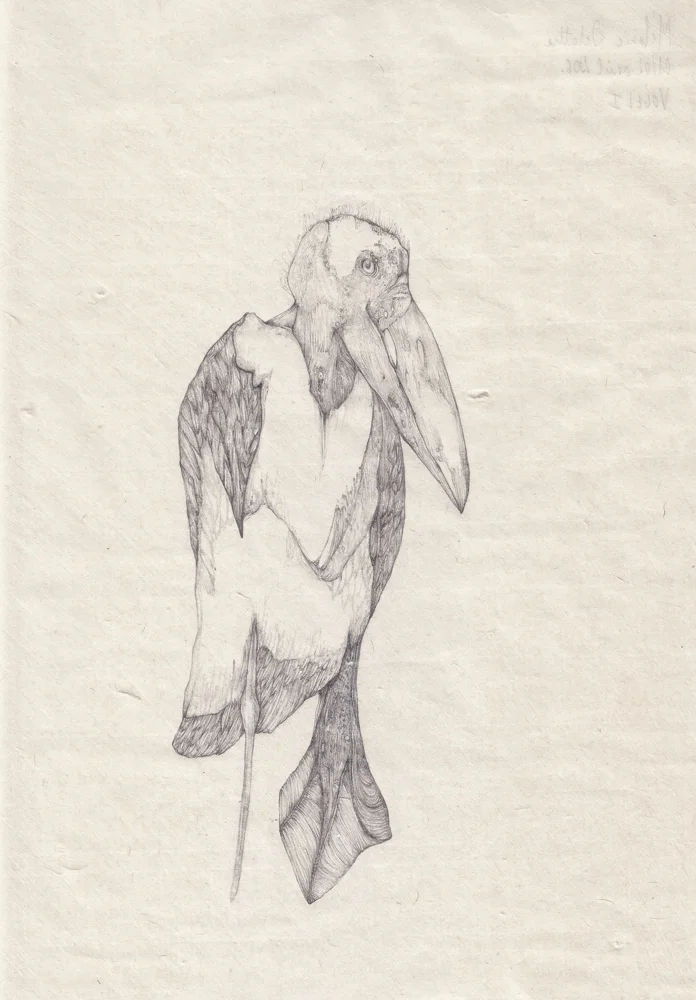DELATTRE_VOGT_VOGEL_2.jpg