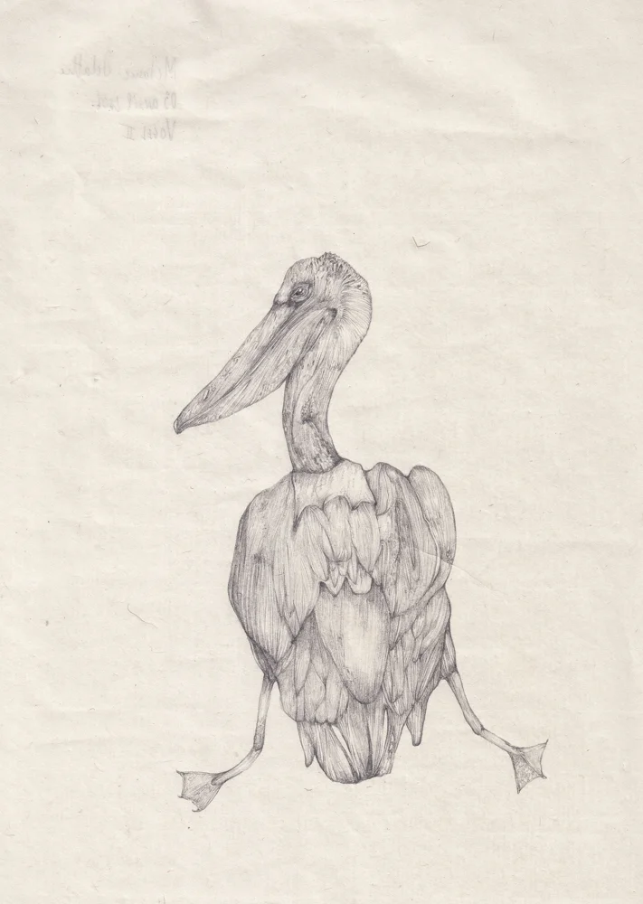 DELATTRE_VOGT_VOGEL_1.jpg