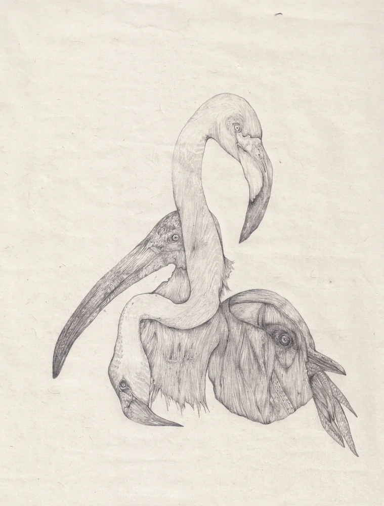 DELATTRE_VOGT_VOGEL_3.jpg