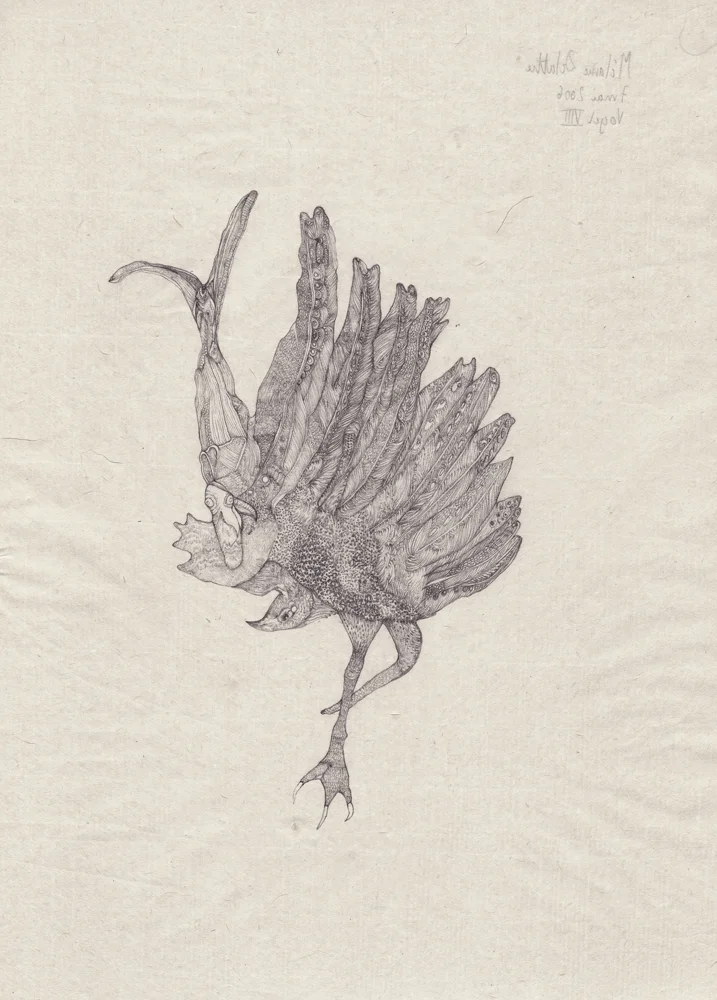 DELATTRE_VOGT_VOGEL_6.jpg
