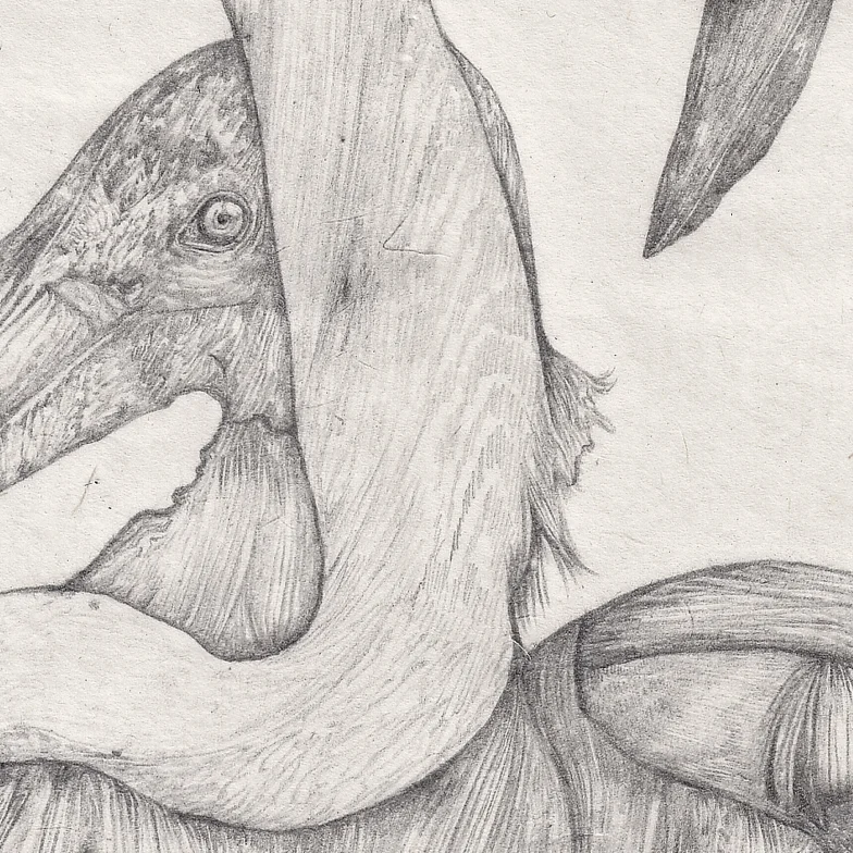DELATTRE_VOGT_VOGEL_3W.jpg