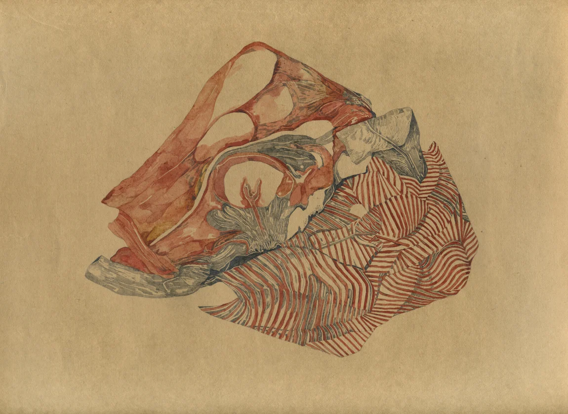 DELATTRE-VOGT_VIANDE_FRAICHE_WEB_10102009_02052016.jpg
