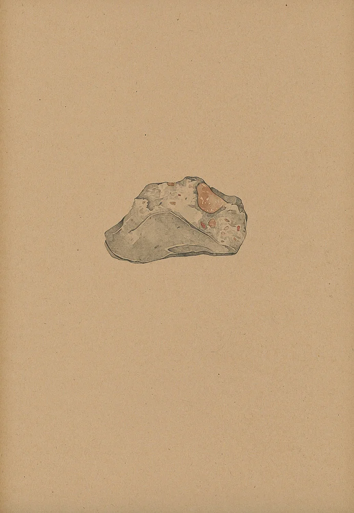 MDV_CAILLOUX_1989.jpg