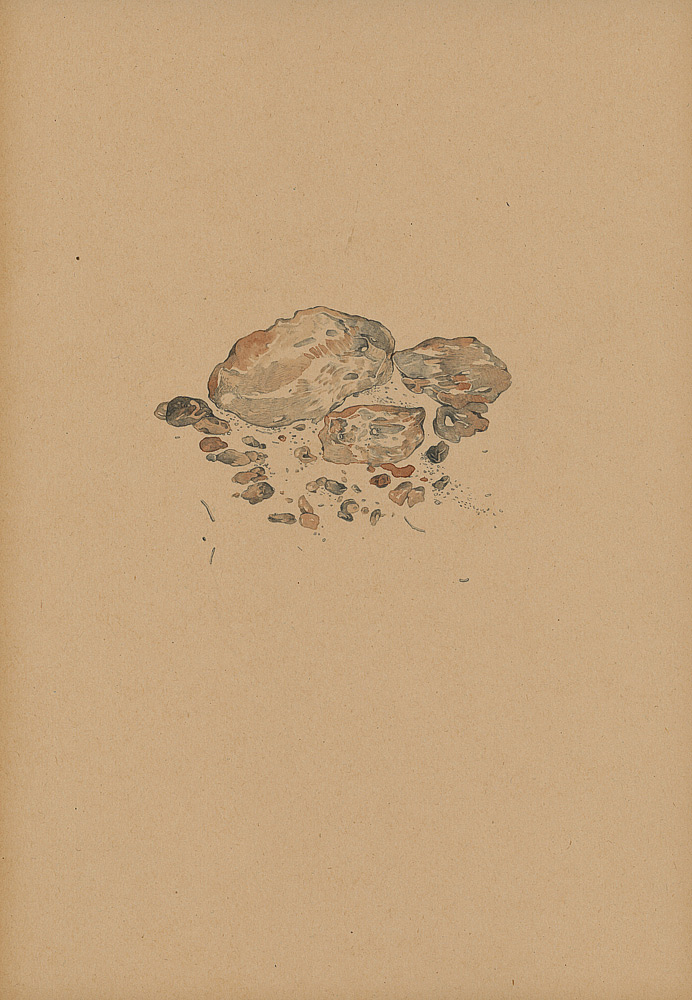 MDV_CAILLOUX_DURER.jpg