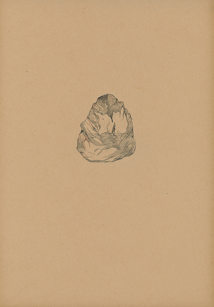 MDV_CAILLOUX_FOUQUET.jpg