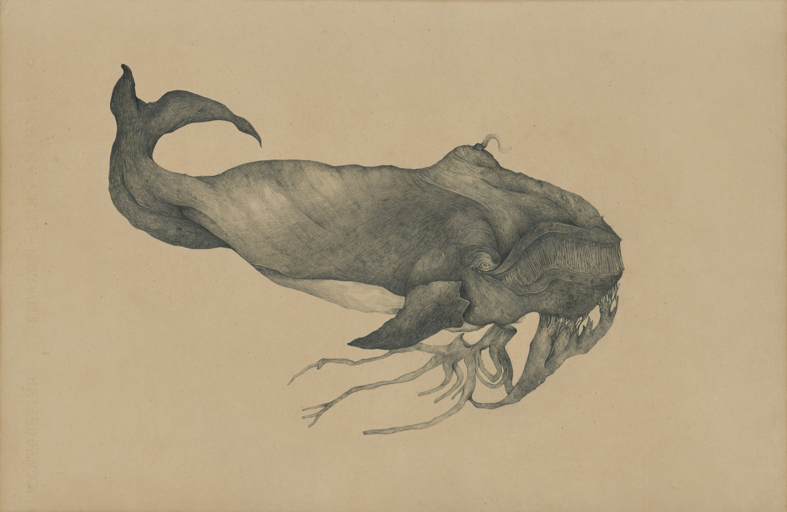 MELANIE_DELATTRE_VOGT_BALEINE_BOREALE.jpg