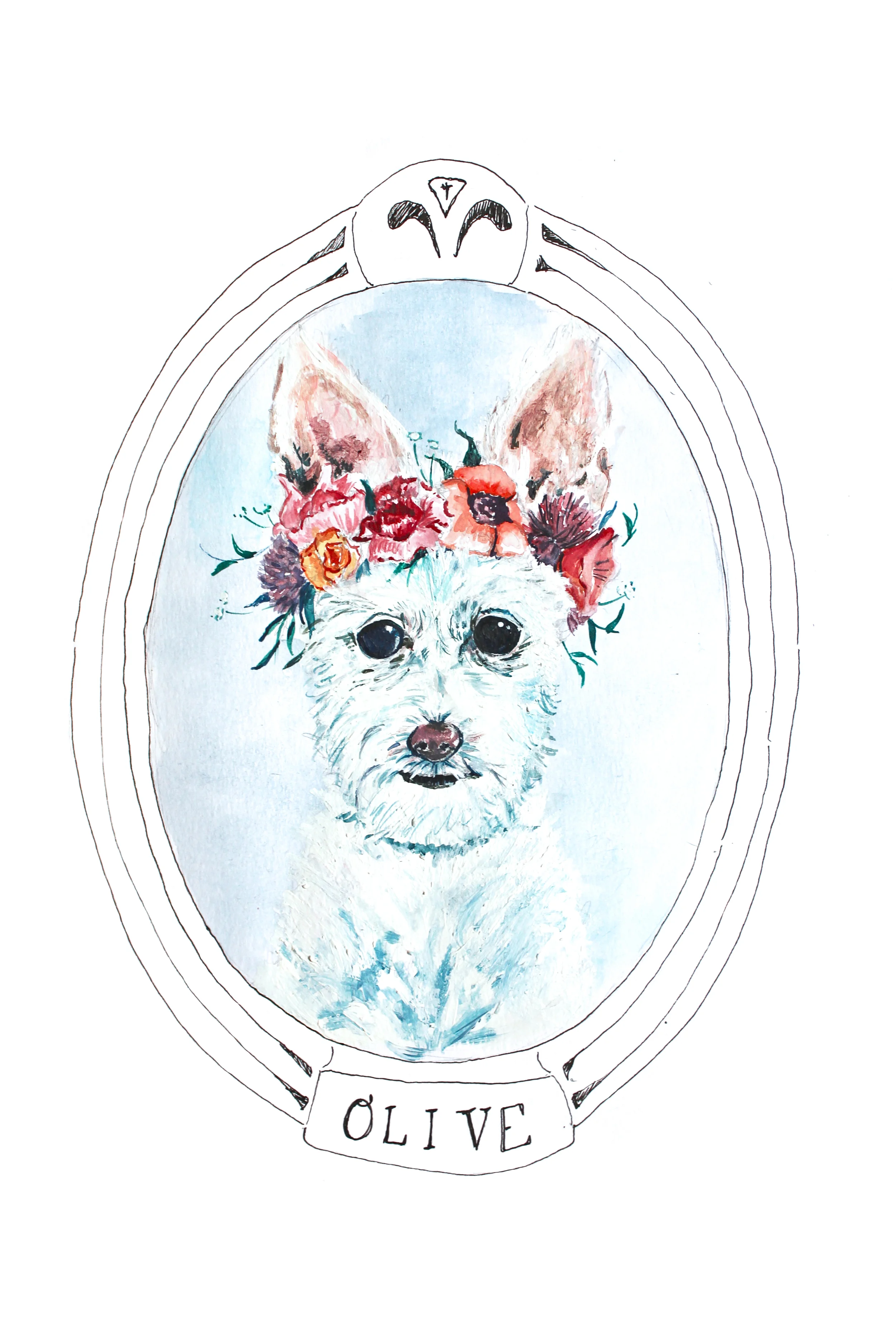 Olive Angelina Bunnicula Who