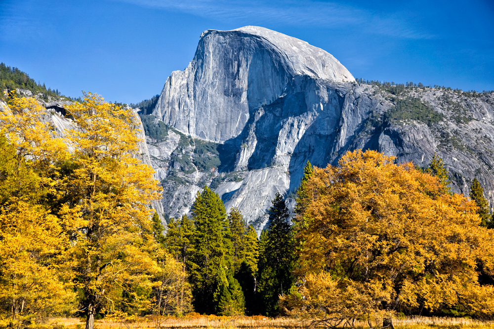 Half Dome in Autumn