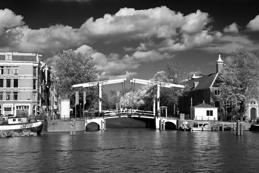 Amstel River, August Afternoon